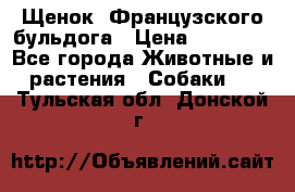 Щенок  Французского бульдога › Цена ­ 35 000 - Все города Животные и растения » Собаки   . Тульская обл.,Донской г.